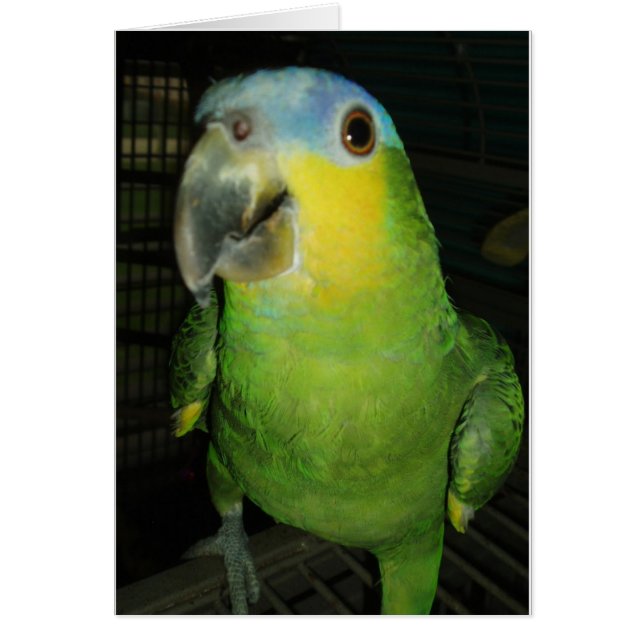 Goedemorgen! (Voorkant)