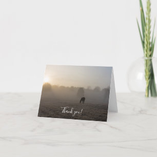 Goedemorgen, bedankt