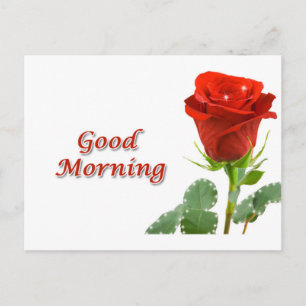 goedemorgen briefkaart