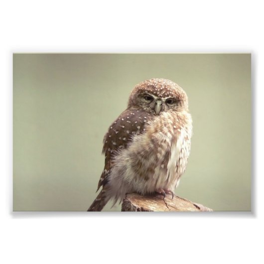 Goedemorgen, foto afdruk (Voorkant)