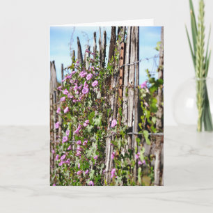 Goedemorgen Glory Flowers Scripture Kaart Hebrews