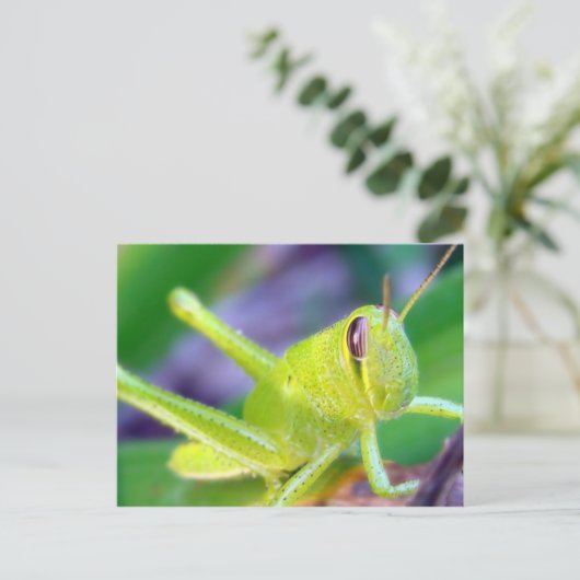 Goedemorgen, Grasshopper! Briefkaart (Staand voorkant)