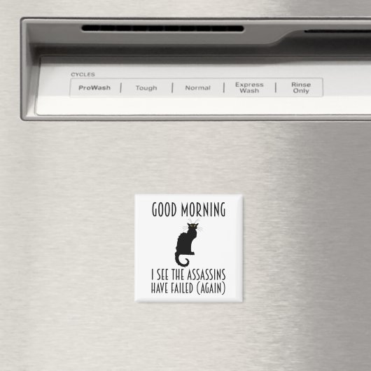 Goedemorgen, ik zie dat de Assassins zijn mislukt Magneet (Insitu (Vaatwasser))