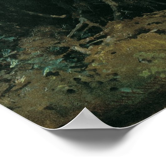 Goedemorgen in een Pine Forest Poster (Hoek)