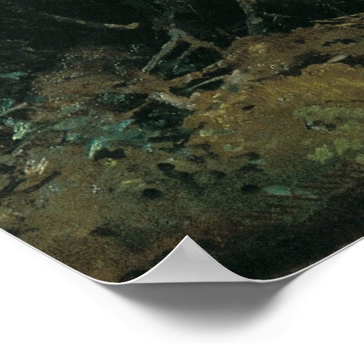 Goedemorgen in een Pine Forest Poster (Hoek)