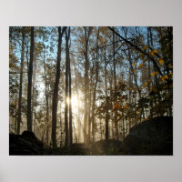 Goedemorgen in Pennsylvania Bossen