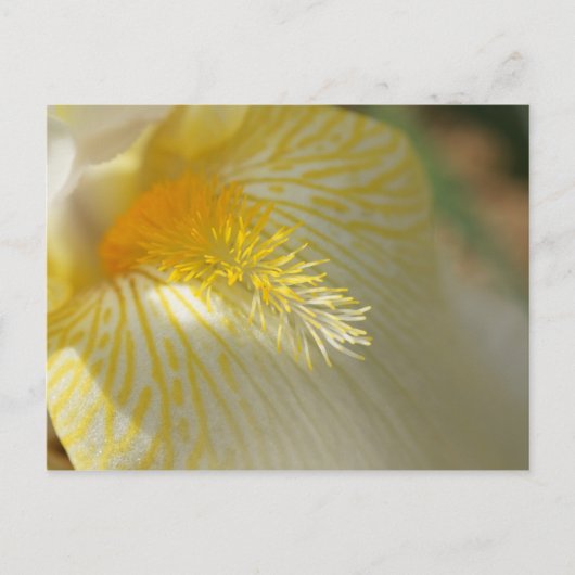 Goedemorgen, Iris. Briefkaart (Voorkant)