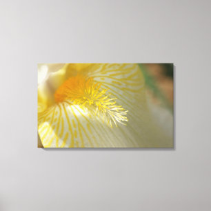 Goedemorgen Iris! Canvas Afdruk