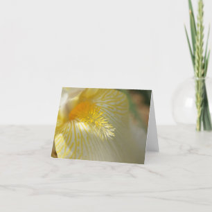 Goedemorgen, Iris! Kaart