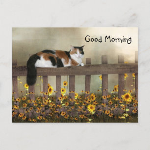 Goedemorgen kat calico briefkaart