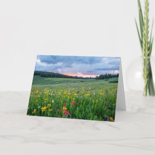 Goedemorgen Meadow, Kaart (Voorkant)