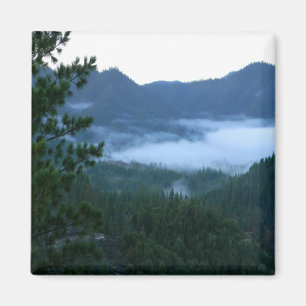 Goedemorgen mist.... magneet