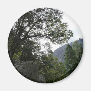 Goedemorgen op de Herfsten van de Trail naar de Ve Magneet