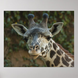 Goedemorgen vriend poster