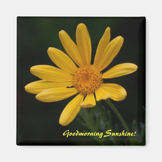 Goedemorgen Zonneschijn Magneet (Voorkant)