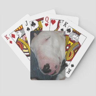 Goedenacht, Slaap Lekker, Domme Hond Speelkaarten