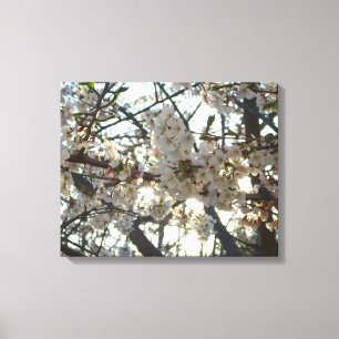 Goedenavond Cherry Blossom II Spring Sunset Canvas Afdruk