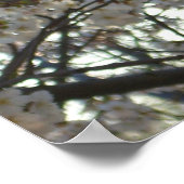 Goedenavond Cherry Blossom II Spring Sunset Poster (Hoek)