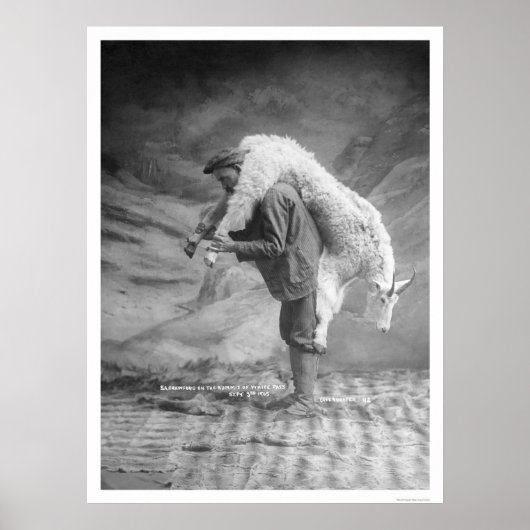 Goederenkarkas 1905 poster (Voorkant)