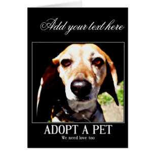 Goedkeuren apet, we hebben liefde te nodig_