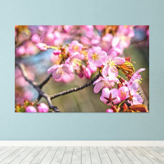 Goedkope cascade van Sakura Flowers op een lenteda Canvas Afdruk (Insitu (Houten vloer))