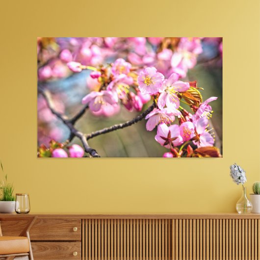Goedkope cascade van Sakura Flowers op een lenteda Canvas Afdruk (Insitu (Woonkamer))