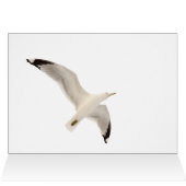 Goéland (Intérieur Horizontal (Haut))