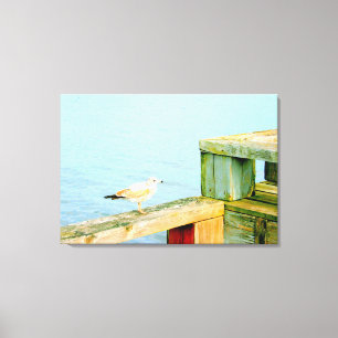 goéland sur toile enveloppée du quai