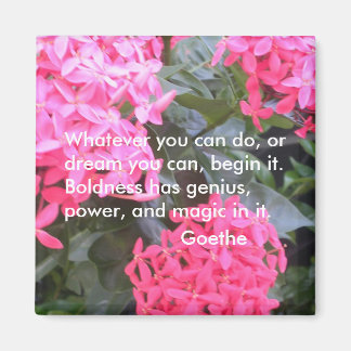 Goethe Motivatie Offertemagneet Magneet