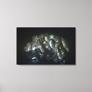 Goethiet is een belangrijk ijzererts canvas afdruk