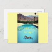 Goin Wild in Palm Springs Zebra Retro  zwembad Briefkaart (Voorkant / Achterkant)