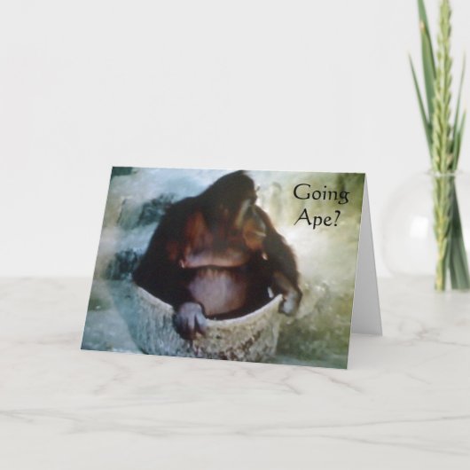 "GOING APE ?" 50e CARTE D'ANNIVERSAIRE (Devant)