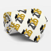 Gold and Silver Class of 2026 Graduation Stropdas (Opgerold)