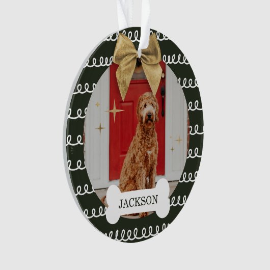 Gold Bow Green White Swirl Motif Chien Bone Photo (devant)