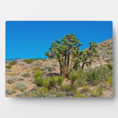 Gold Butte National Monument Fotoplaat (voorkant)