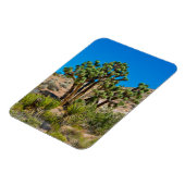 Gold Butte National Monument Magneet (Linkerzijde)