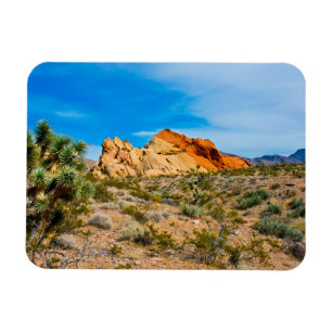 Gold Butte National Monument (Whitney Pocket) Magneet