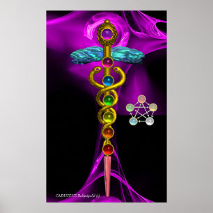 GOLD CADUCEUS EN 7 CHAKRAS IN PAARS FRACTAAL ROOS POSTER