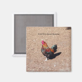Gold Cockerel Rooster magnet Magneet (Voorkant / Achterkant)