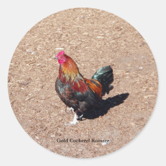 Gold Cockerel Rooster sticker
