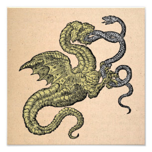 Gold Dragon vs. Silver Snake Foto Afdruk
