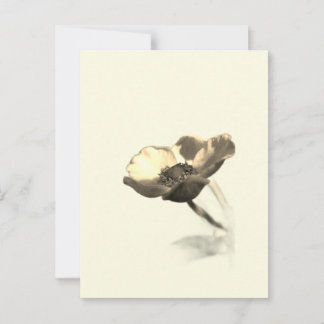 Gold Dream Flowers – Sepia Minimalist Nature  Briefkaart
