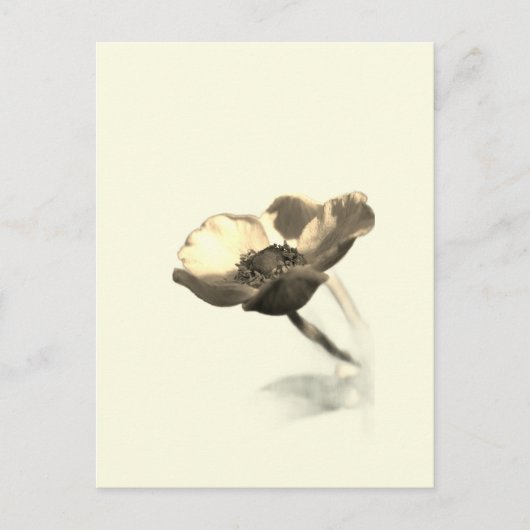 Gold Dream Flowers – Sepia Minimalist Nature Briefkaart (Voorkant)