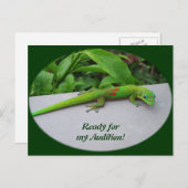 Gold Dust Day Gecko - Auditie en krijg wat Gecko Briefkaart (Voorkant / Achterkant)