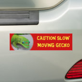 Gold Dust Day Gecko - Auditie en krijg wat Gecko Bumpersticker (Op auto)
