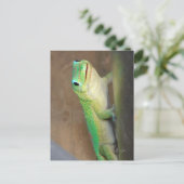 Gold Dust Day Gecko Foto  Briefkaart (Staand voorkant)