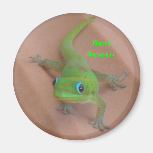 Gold Dust Day Gecko Magneet (Voorkant)