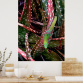 Gold Dust Day Gecko Poster (Keuken)