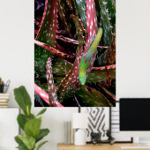 Gold Dust Day Gecko Poster (Thuiskantoor)
