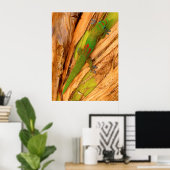 Gold Dust Gecko Poster (Thuiskantoor)